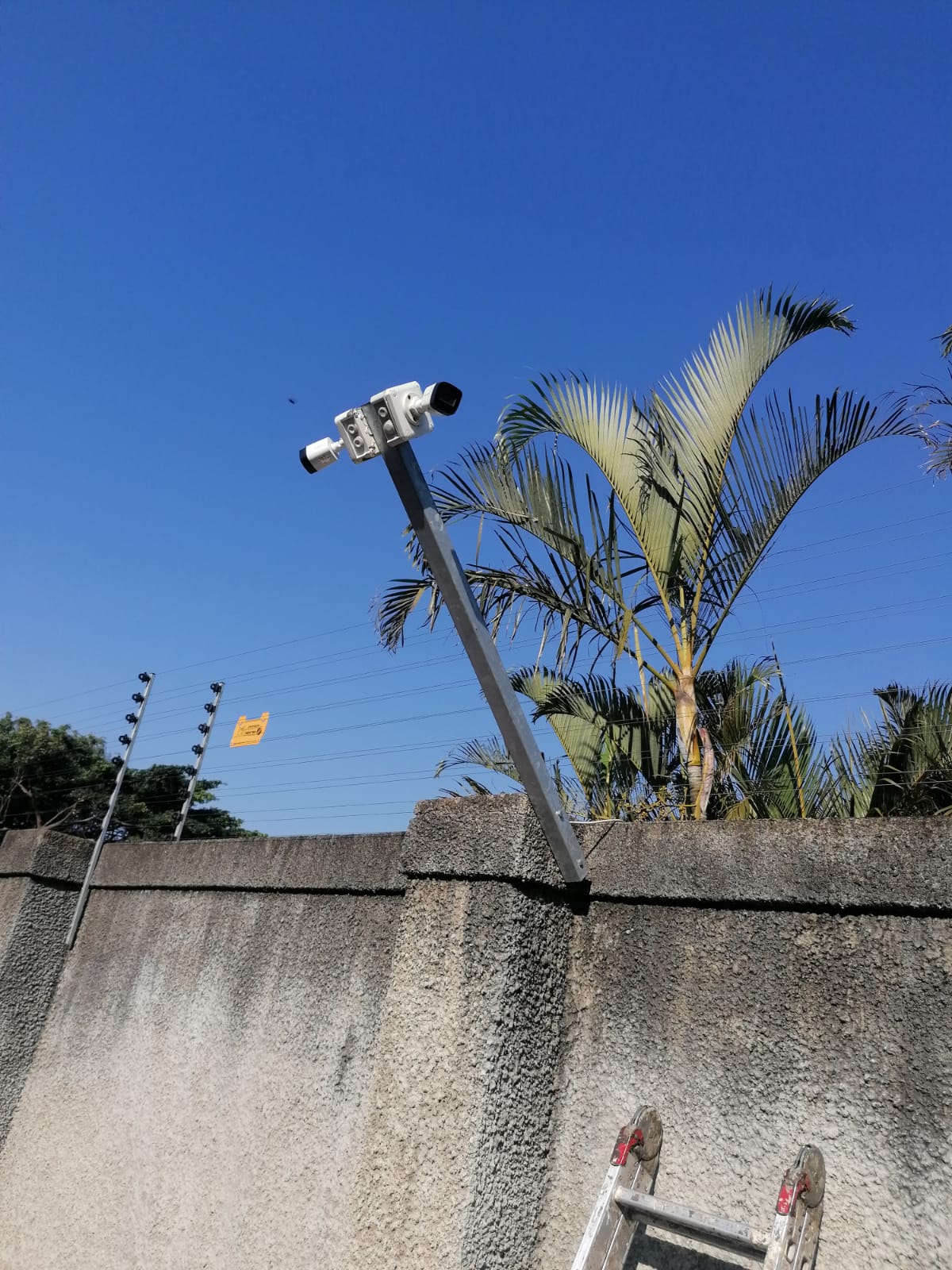 WhatsApp Image 2025 12 11 at 10.01.20 1